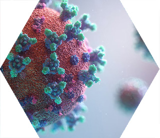 illustration - visualisation of the Covid-19 virus